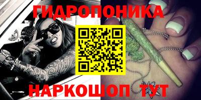 круглые Новодвинск