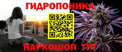 круглые Новодвинск