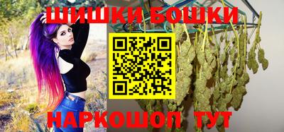 spice Новозыбков