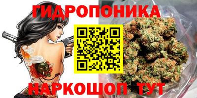 spice Новозыбков