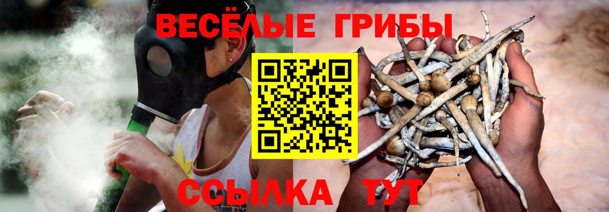 Тверь  Галлюциногенные грибы Psilocybe  Вход с VPN 
